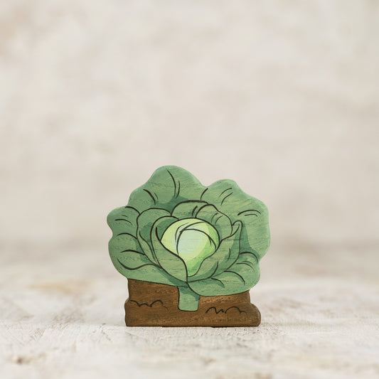 Cabbage