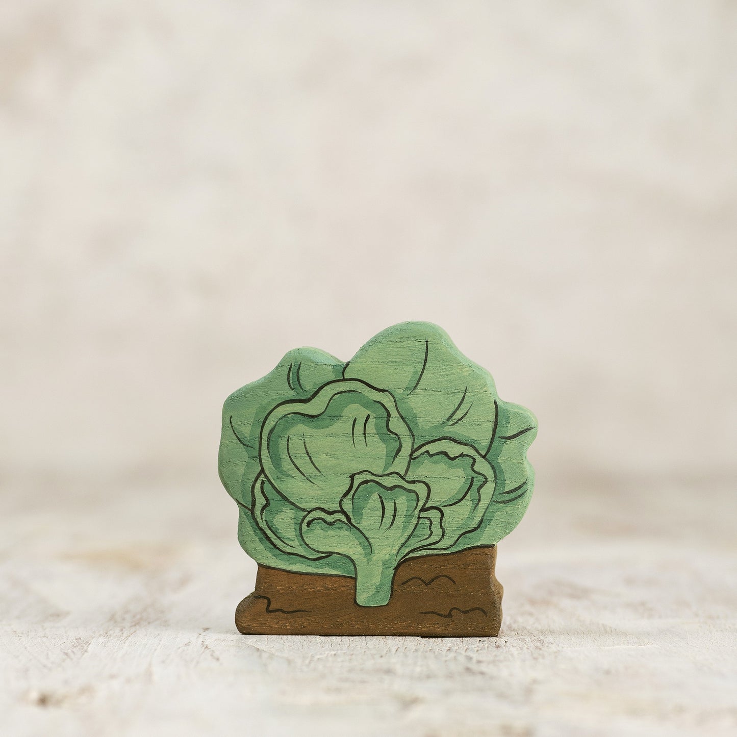 Cabbage