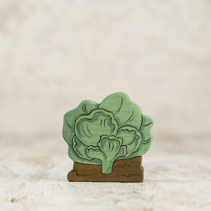 Cabbage