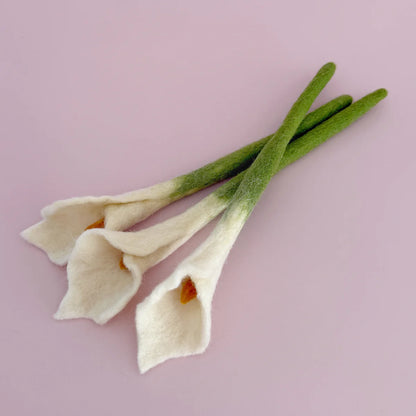 Calla Lilies