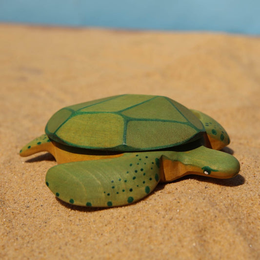Green Turtle *Pre-Order*