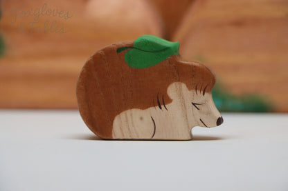 Woodland Hedgehog