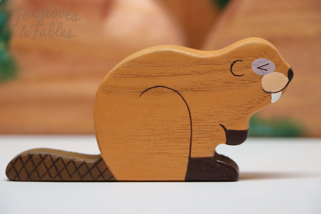Woodland Beaver