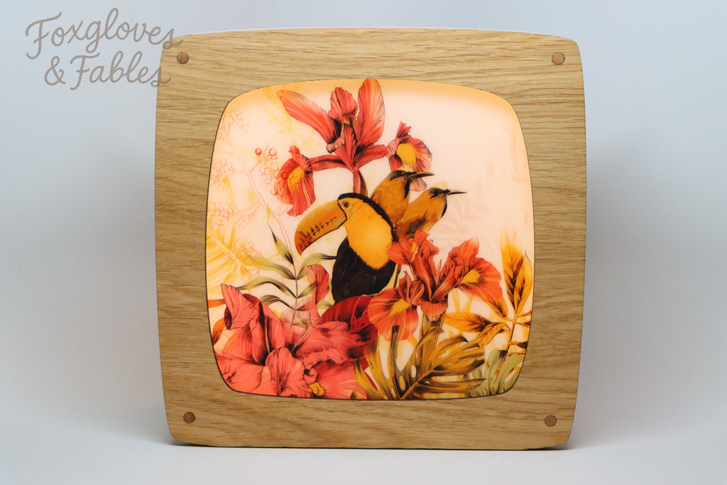 "Toucan" by La Scarlatte