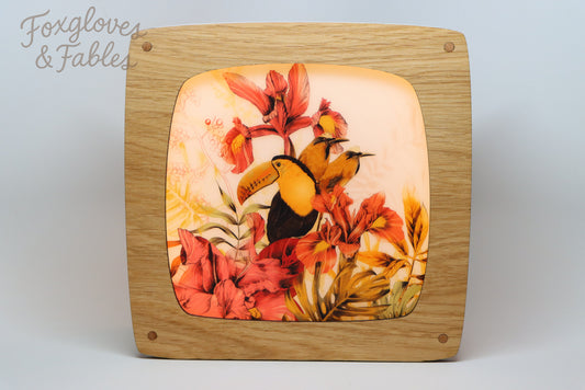 "Toucan" by La Scarlatte