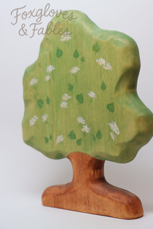 Linden Tree
