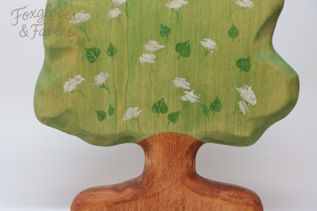 Linden Tree