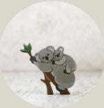 Koala and a baby