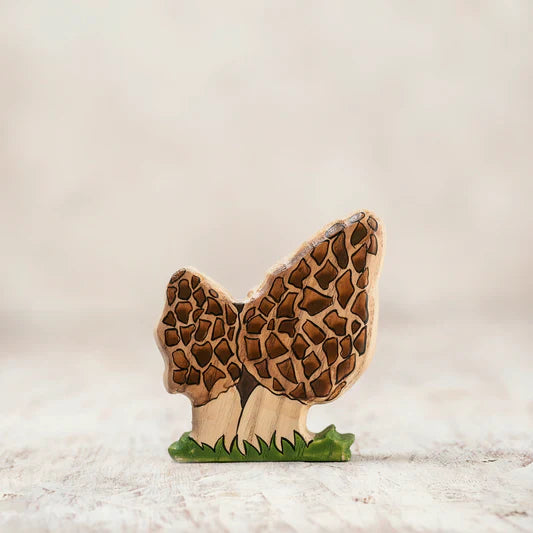 Morel