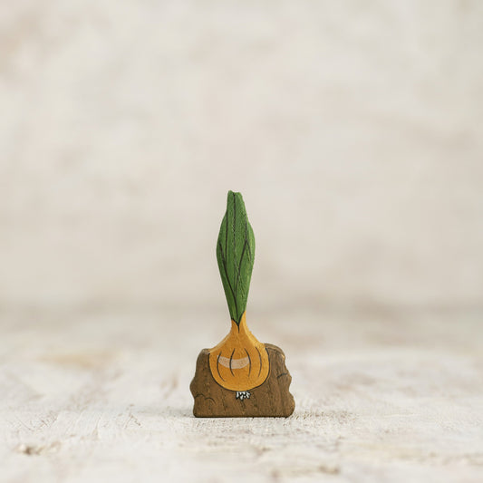 Onion