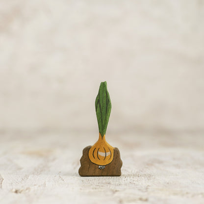 Onion