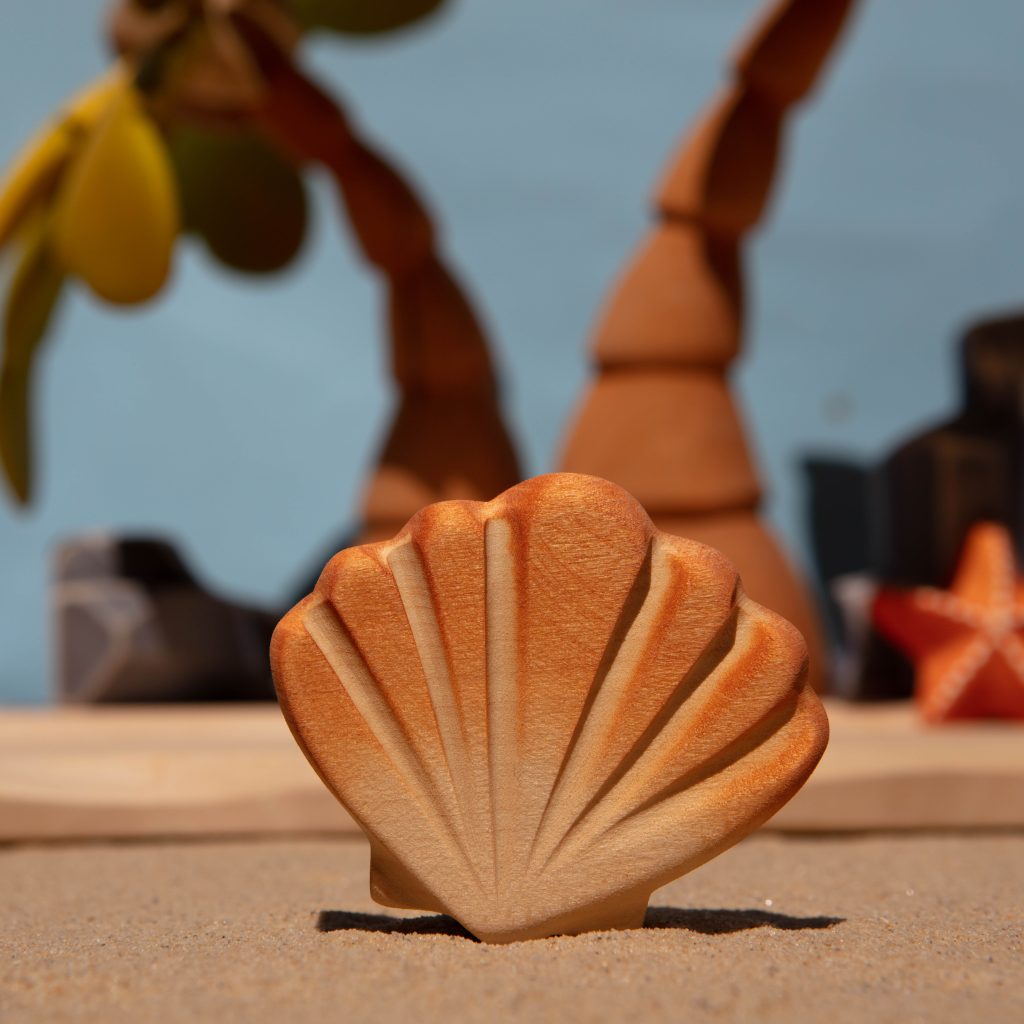 Orange Seashell *Pre-Order*