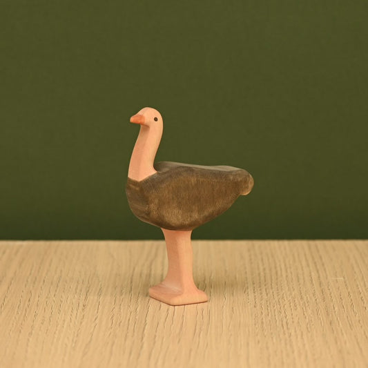 Ostrich *Pre-Order*