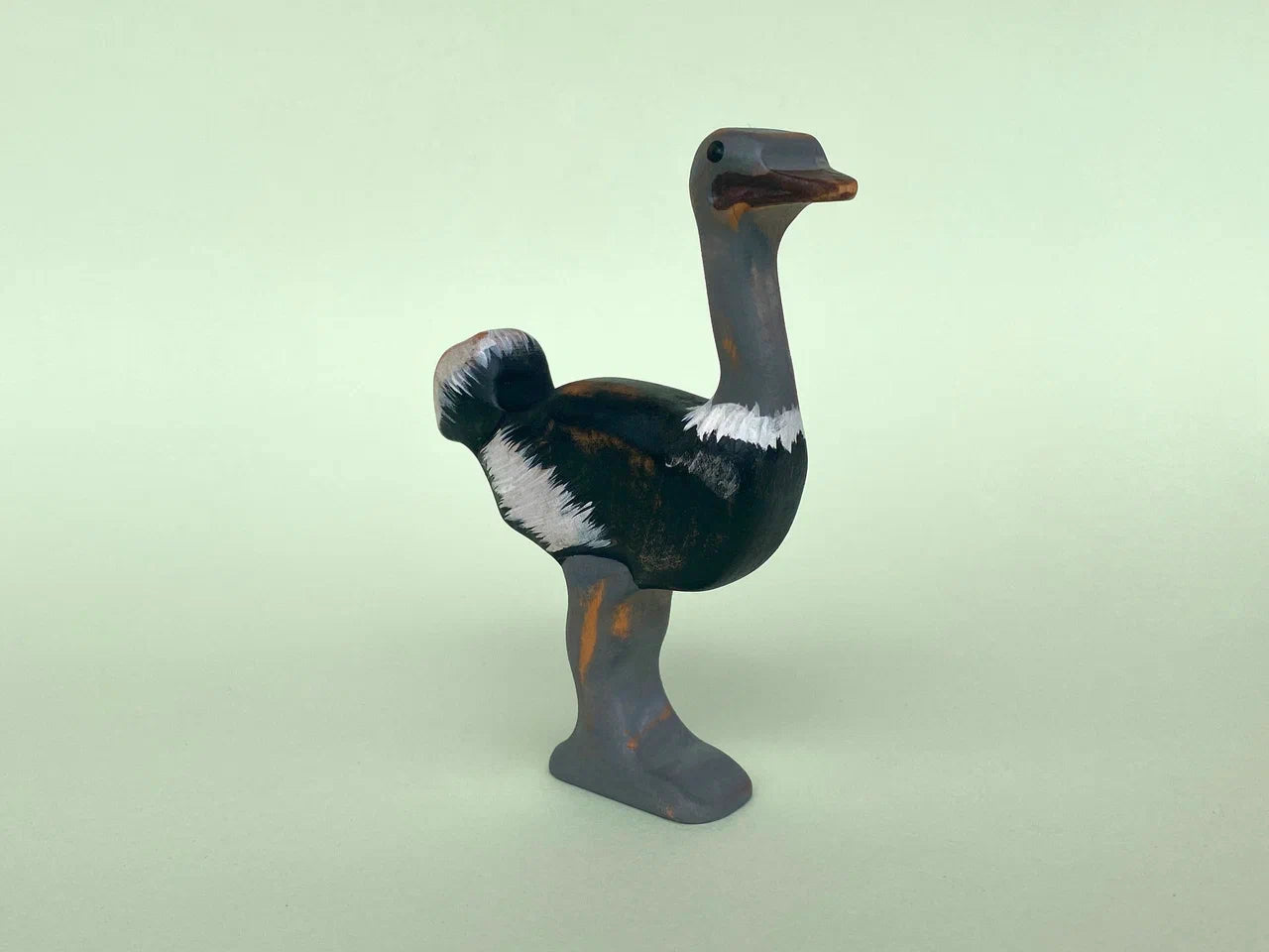 Ostrich