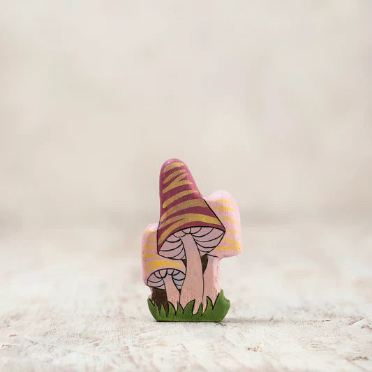 Triple Pink Fairy mushroom