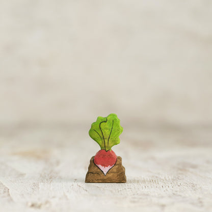 Radish