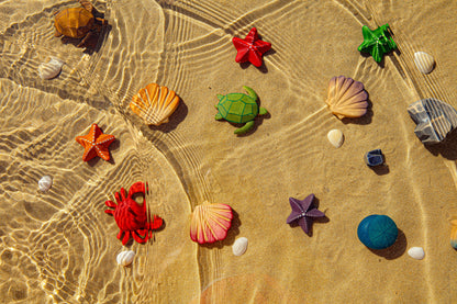 Orange Seashell *Pre-Order*