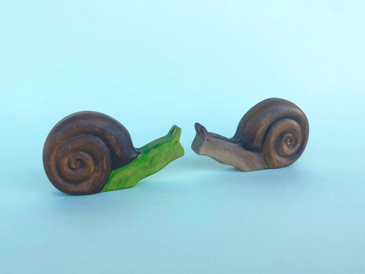 Snail