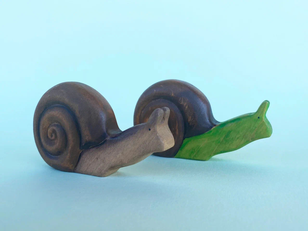 Snail