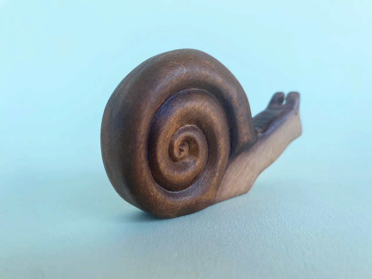 Snail