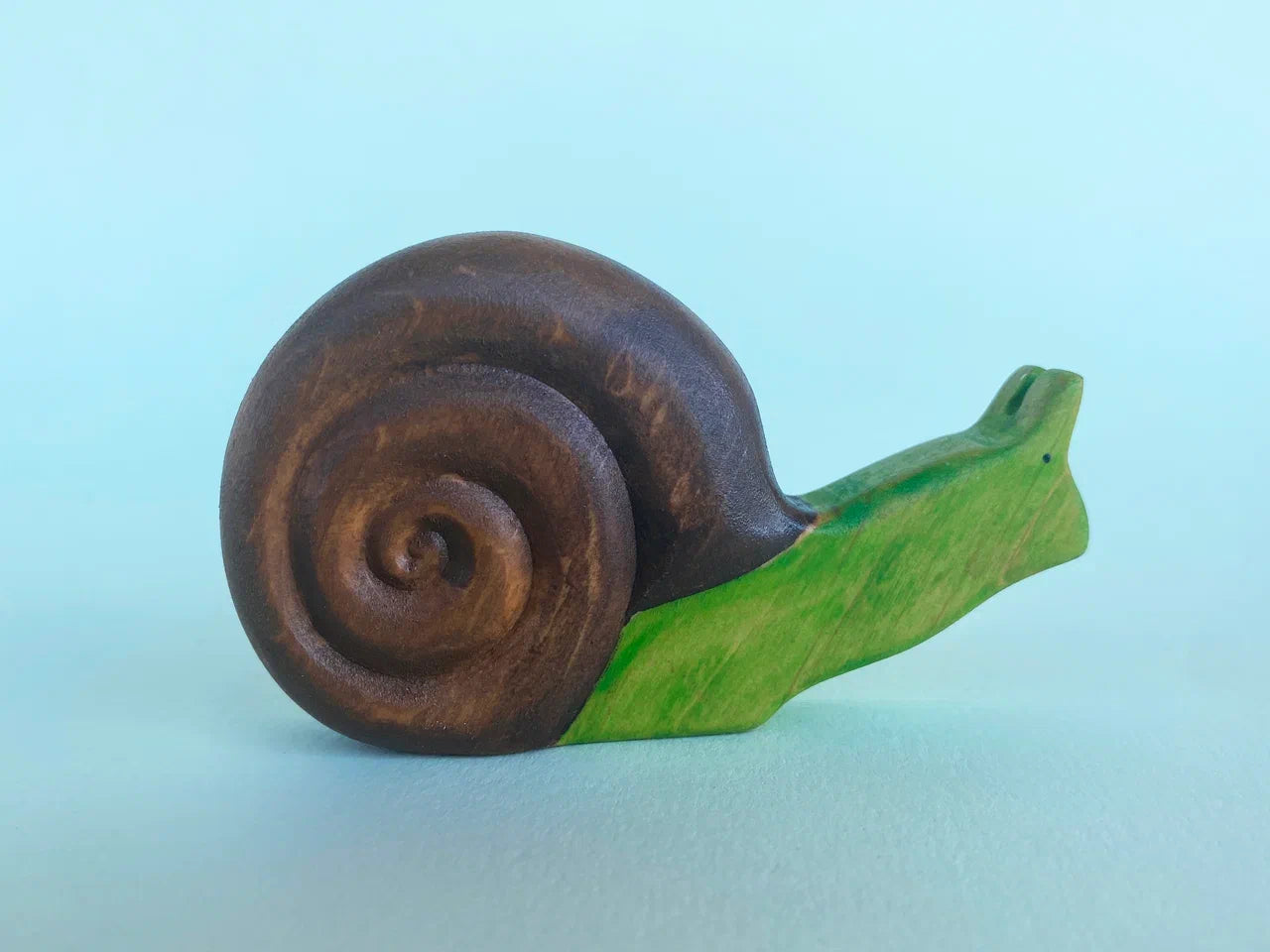 Snail