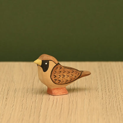 Sparrow *Pre-Order*