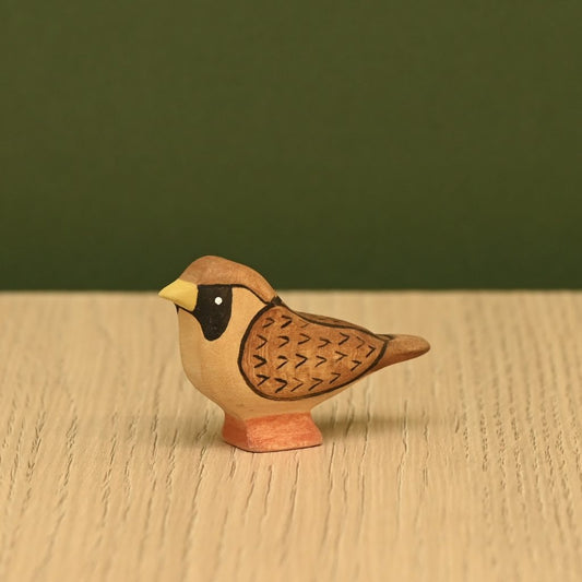 Sparrow *Pre-Order*