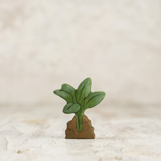 Spinach