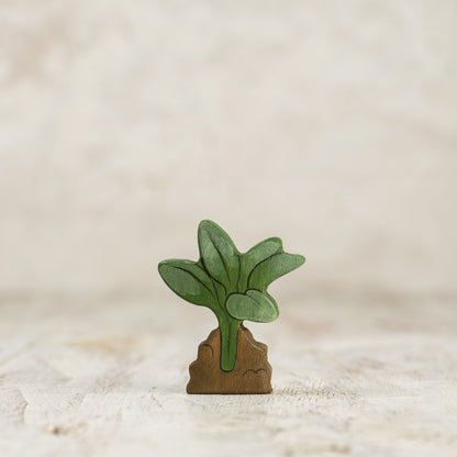 Spinach