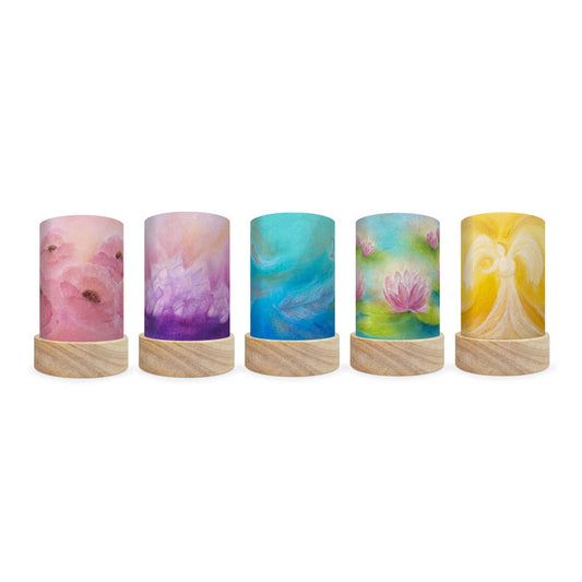 "Comfort and Solace" Shade Collection by Baukje Exler