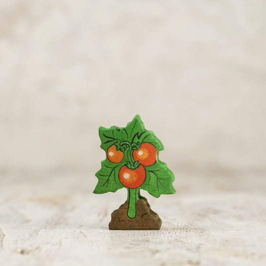 Tomato