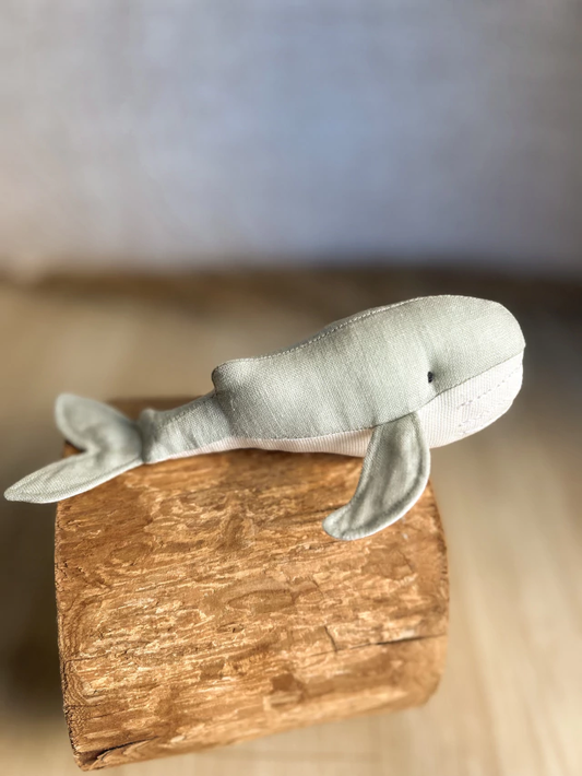 "Kai" the Whale