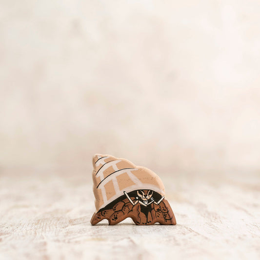 Hermit crab