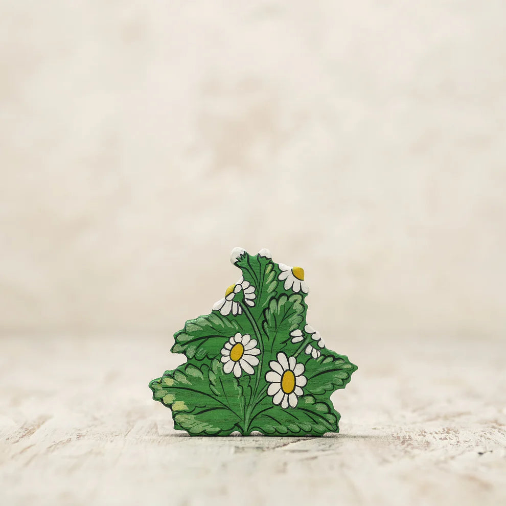 Chamomile