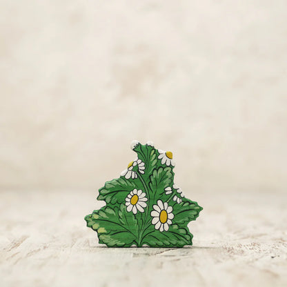 Chamomile