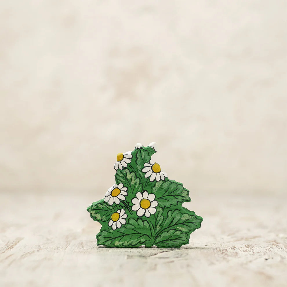 Chamomile