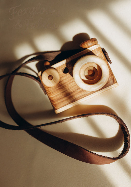 The Wooden Camera