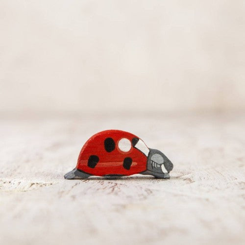 Ladybug