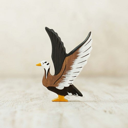 Arctic goose