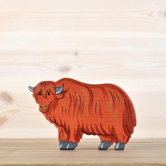 Highland cow