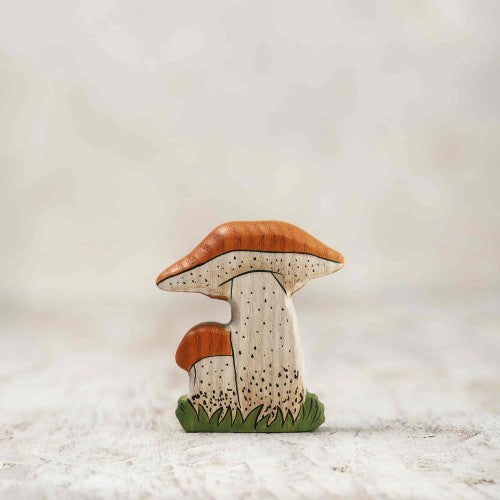 Red cap bolete