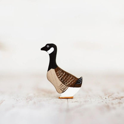 Canada goose
