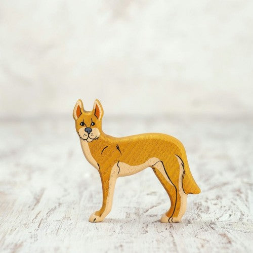 Dingo